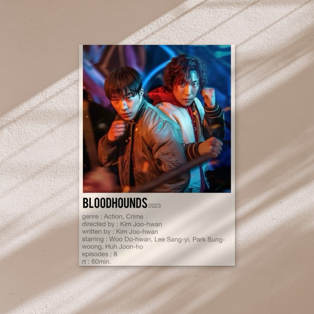 BLOODHOUNDS ALBUM poster on a warm wall in window light