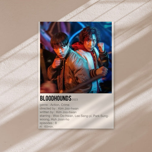 BLOODHOUNDS ALBUM poster on a warm wall in window light