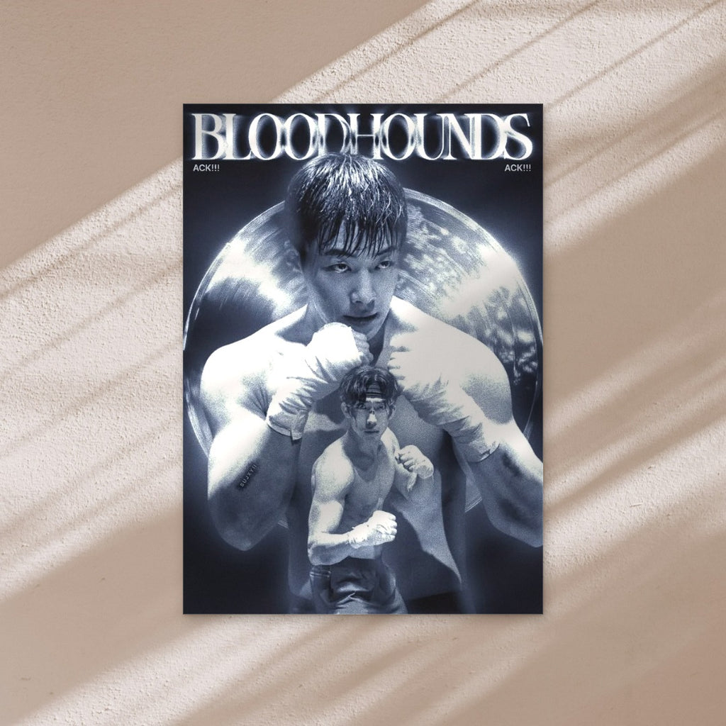 BLOODHOUNDS poster on a warm wall in window light